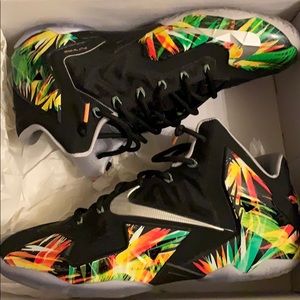 Lebron XI “Everglades”